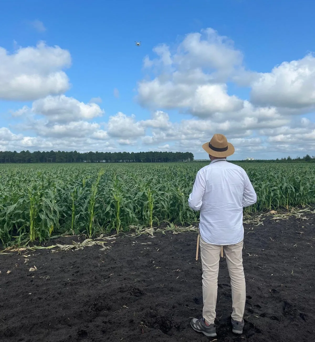 Un piloto de espaldas en un maizal, con el dron en el aire