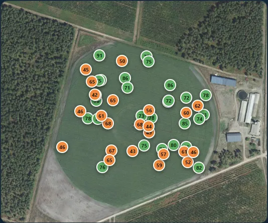 Mapa del semillero de maíz con las panojas localizadas, marcadas en verde y naranja según la certeza