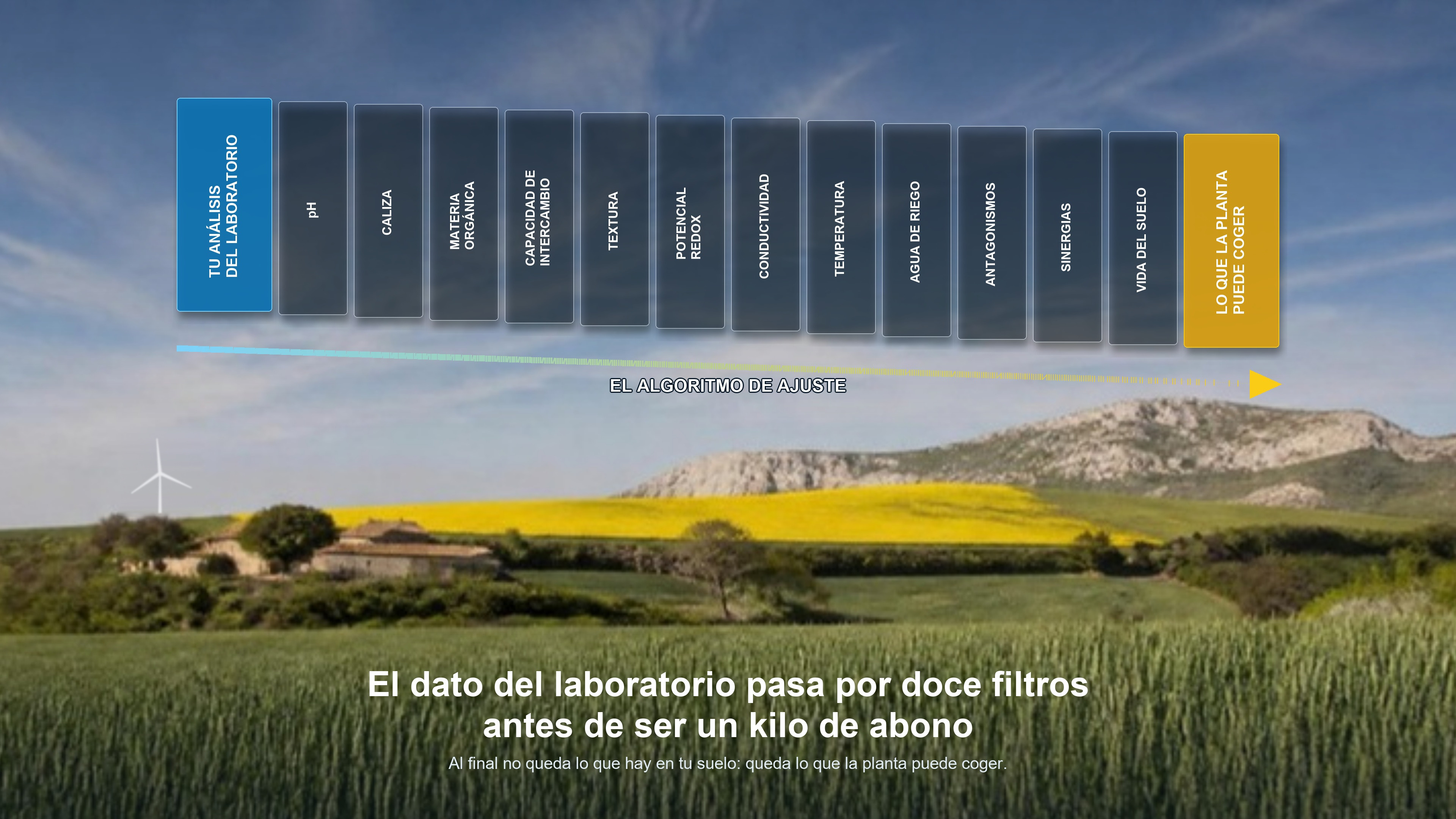 Los doce factores que corrigen el análisis de suelo: del dato del laboratorio a lo que la planta puede comer