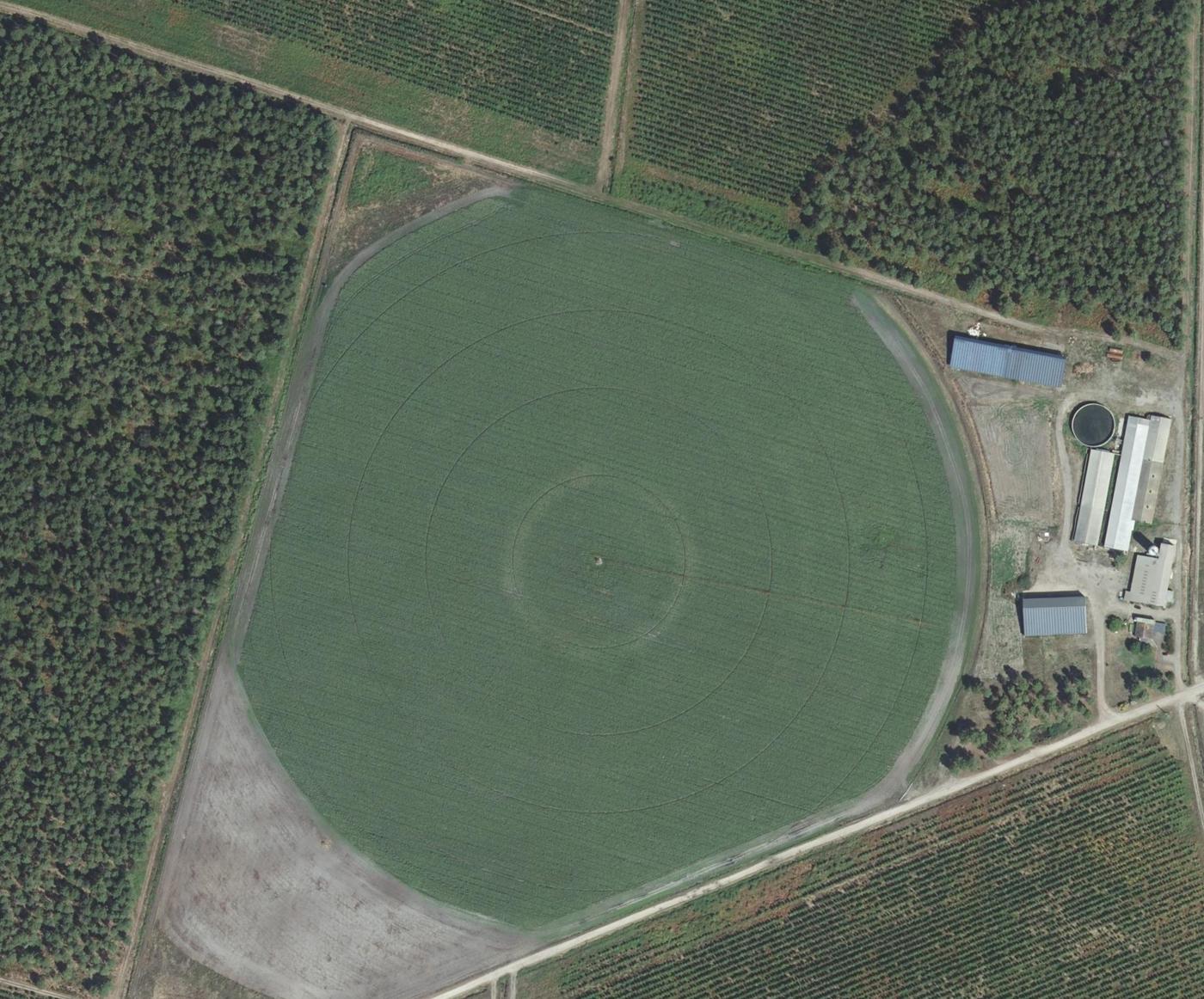 Vista aérea de la parcela de pivot con el maíz cerrado